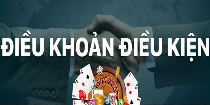 Tổng hợp các thông tin về điều khoản